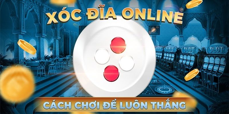 Các bước cơ bản để sử dụng tool hack 